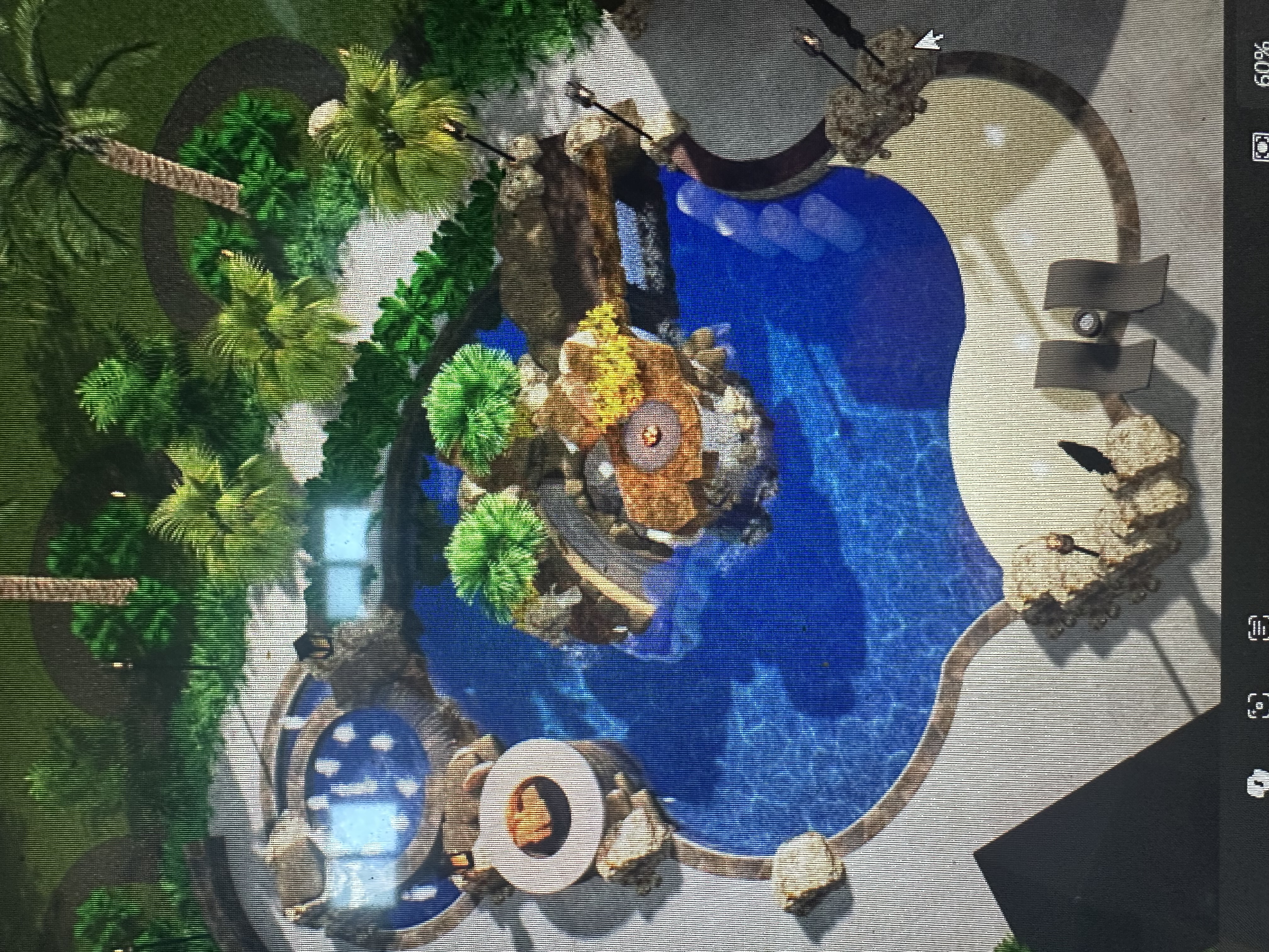 Aqua Custom Pools Lake Nona  3D Design