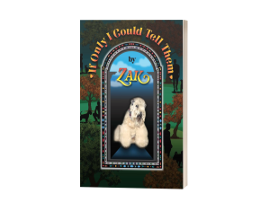 If Only I Could Tell Them