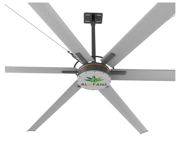 Large Scale Ceiling Fan