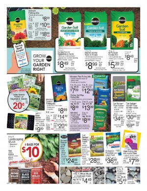 Flower and vegetable plants display