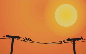 copper lines retiring per FCC