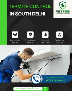 Termite Control in South Delhi 2