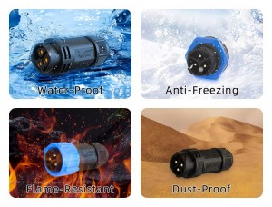 Advanced Ingress Protection