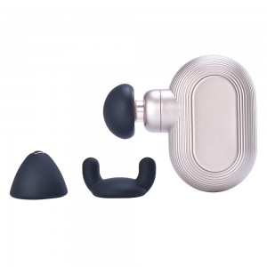 Pocket Mini Fascia Gun SM 453