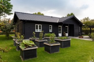 Modern All-Year Wooden Houses in Denmark Designed - Træhuse Nordsjælland