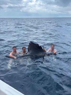 Sailfish Jaco Costa Rica