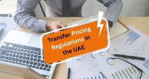 Transfer Pricing Regulations in the UAE Compliance and Documentation