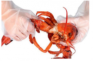 China Leading Safe PE Glove Manufacturer