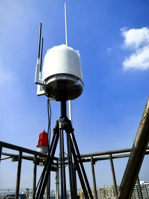 Professional RF Signal Jamming Device Company from China