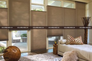 honeycomb blinds 6