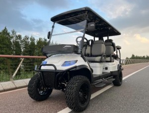 EV Golf Cart Suppliers