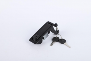 Locking Paddle Latch