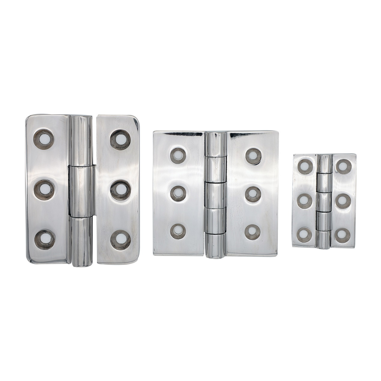 Stainless Steel Hinge