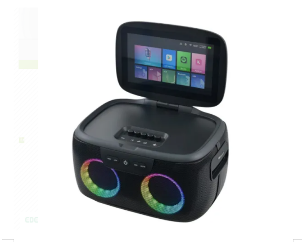 High Performance Karaoke Speaker Manufacturer