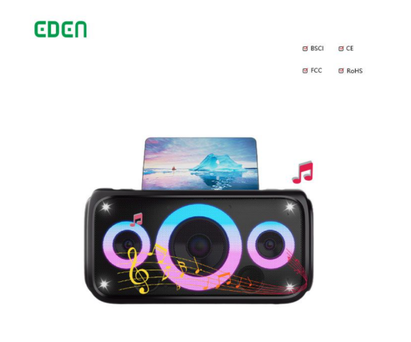 High Performance Karaoke Speaker