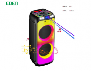 Top Value Oriented Speaker Manufacturer