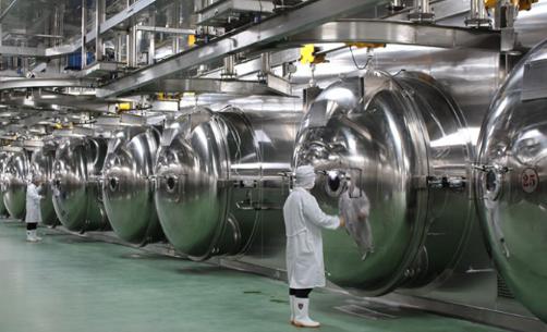 Freeze Dried Apple Factories 1