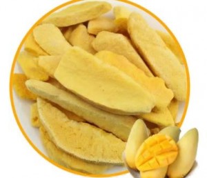 Freeze Dried Mango Manufacturers 1