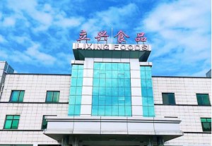 Freeze Dried Mango Manufacturers