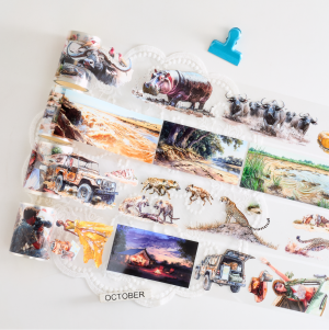 Complete Guide To Finding The Best Ready-To-Ship Pre Cut Tape Online Shop: Shiimmer's Top Picks