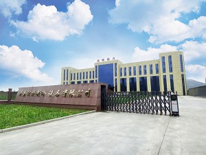 Cold Room Storage Solution