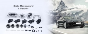 Brake Caliper 1