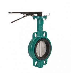 Butterfly Valve 1