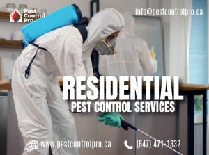 Residential Pest Removal ON Canada Pest Control Pro Toronto