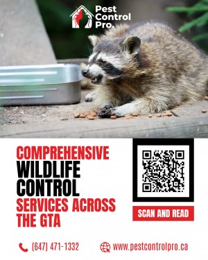 Wild Life Removal ON Canada Pest Control Pro Toronto