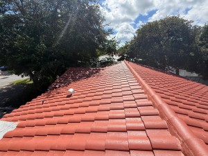 South Florida Asphalt Shingle Roof