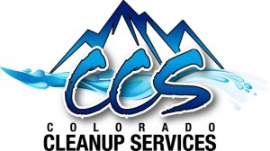 CCS logo1 003