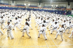Largest Karate Display at Gachibowli Stadium