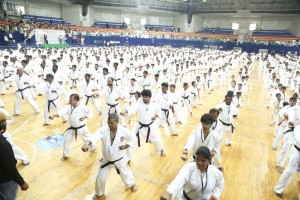 Largest Karate Display at Hyderabad