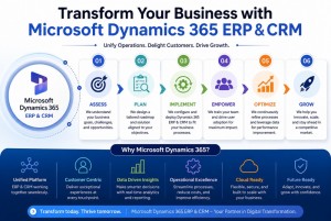 Microsoft Dynamics 365 ERP CRM 2