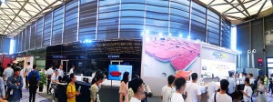 previous exhibition cycle