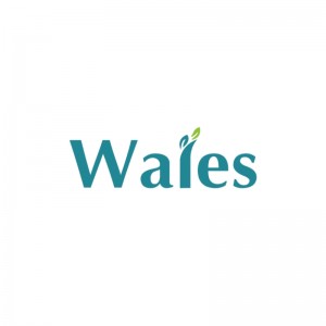 walesindustries Logo