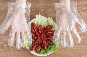 What Makes a Reliable PE Disposable Gloves Factory? Inside WEIFANG TAILIN’s Vietnam and China Operations