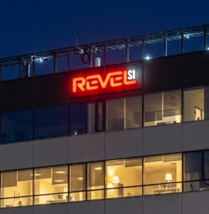 RevelSI Artificial Intelligence Discovers Novel Dementia-Vascular Network and Dual Vitamin-Cardiovascular Axis