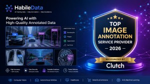 Top image annotation service award