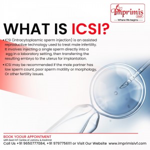 ICSI Treatment