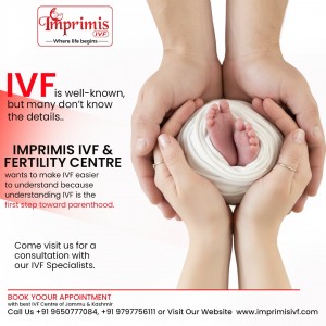 IVF Treatment