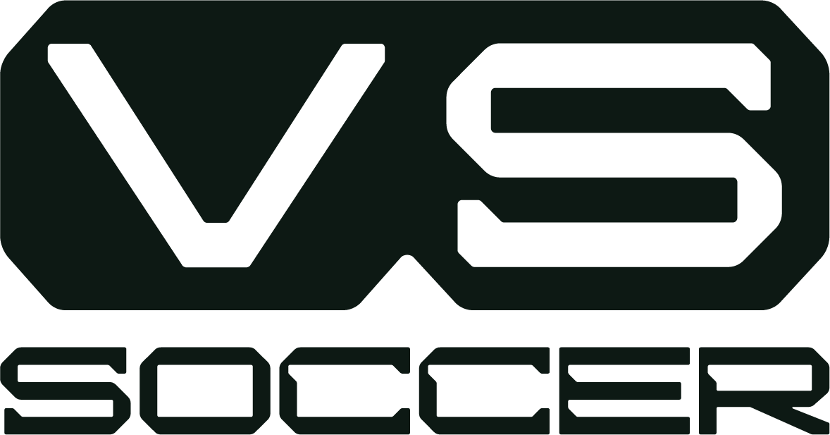 Logotipo VSS VN