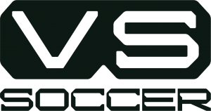Logotipo VSS VN