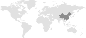 Global Service Market