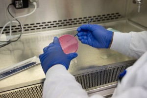 Scientist-led collaboration focused on analytical excellence.