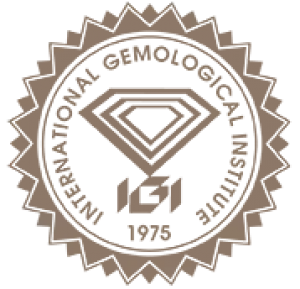IGI Official Logo