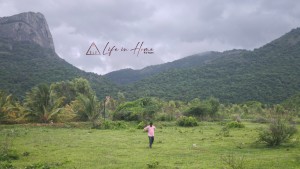 farmhouse land for sale in madampatti