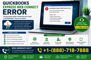 QuickBooks Express Web Connect Error