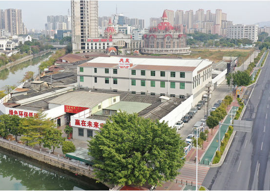 Global Leading Packaging Solutions Provider