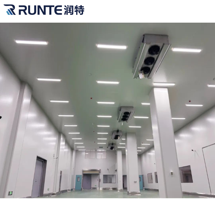 Runte Group 1